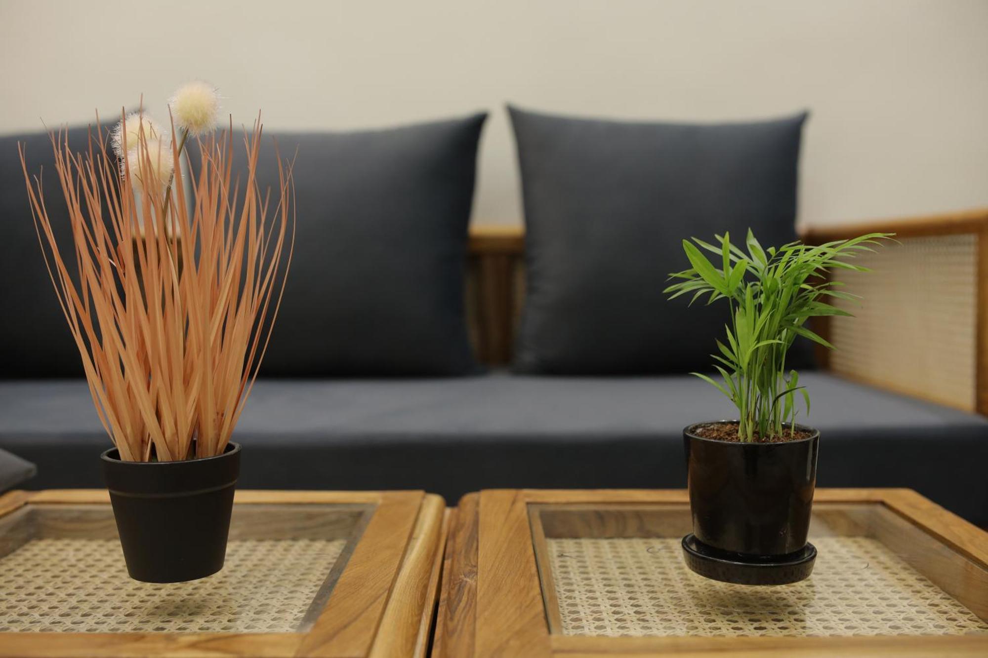 Narayana Homes Матхура Экстерьер фото